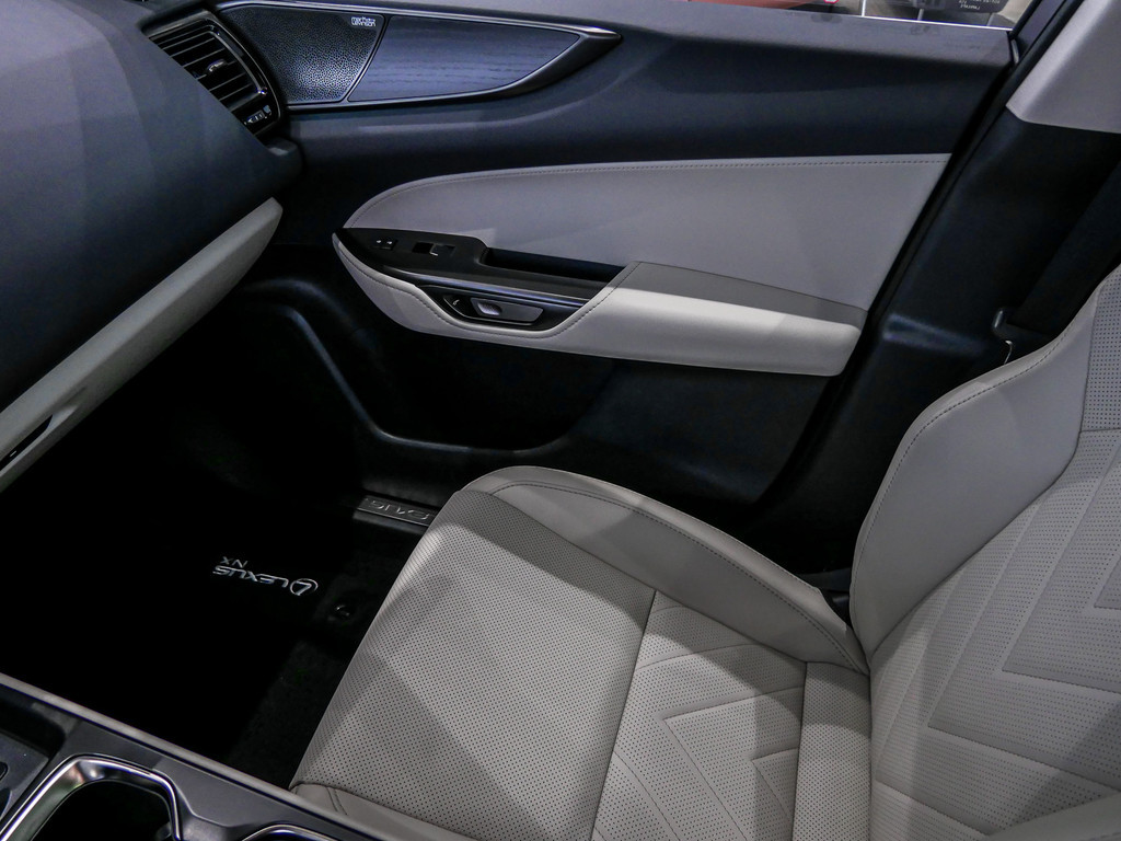 Fahrzeugansicht LEXUS NX 450h + Luxury - Bild 20