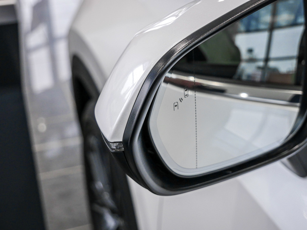 Fahrzeugansicht LEXUS NX 450h + Luxury - Bild 39