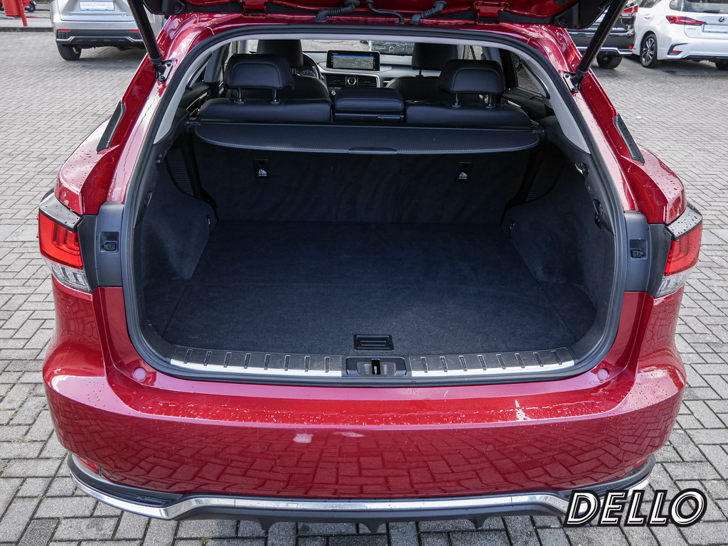 Fahrzeugansicht LEXUS RX 450h Luxury Line - Bild 11