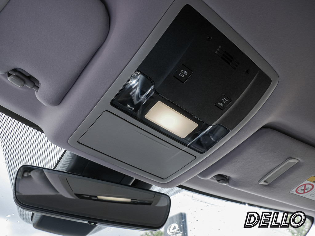 Fahrzeugansicht LEXUS RX 450h Luxury Line - Bild 28