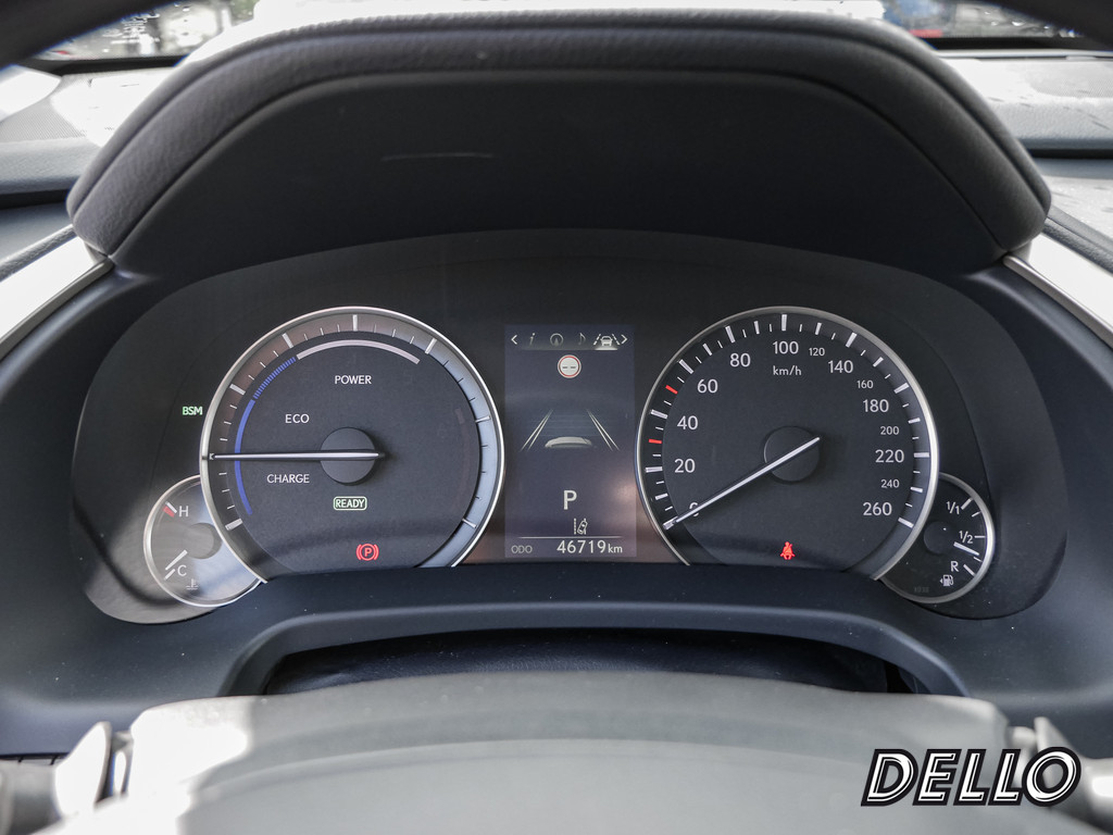 Fahrzeugansicht LEXUS RX 450h Luxury Line - Bild 29