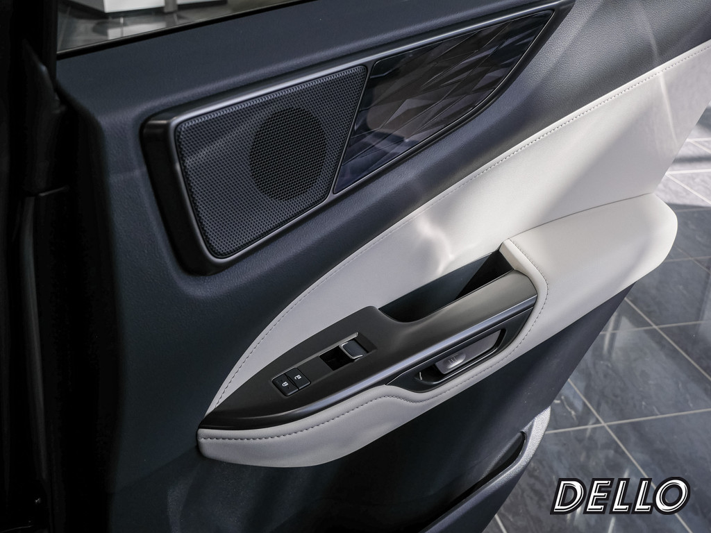 Fahrzeugansicht LEXUS NX 350h Business - Bild 10