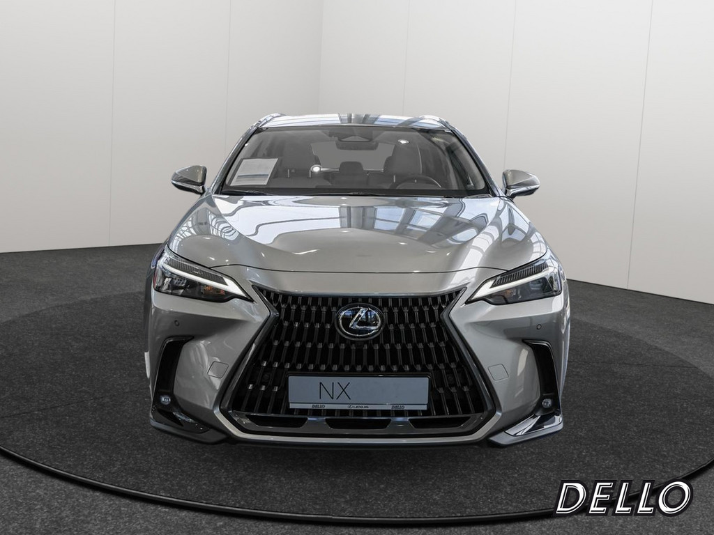 Fahrzeugansicht LEXUS NX 350h Business - Bild 12