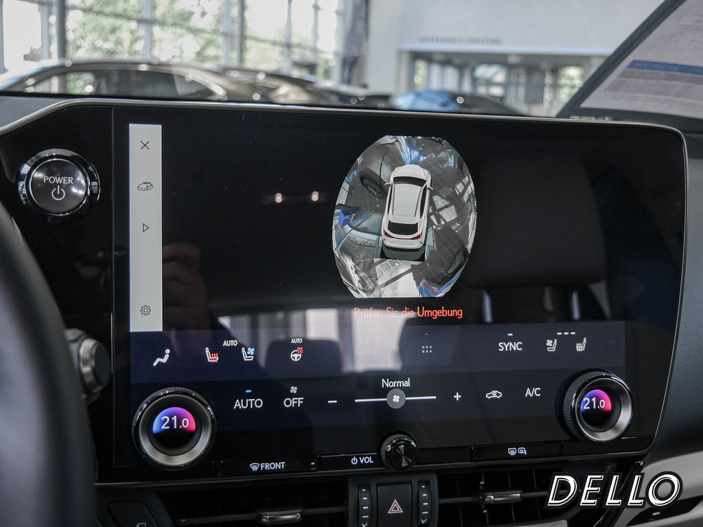 Fahrzeugansicht LEXUS NX 350h Business - Bild 17