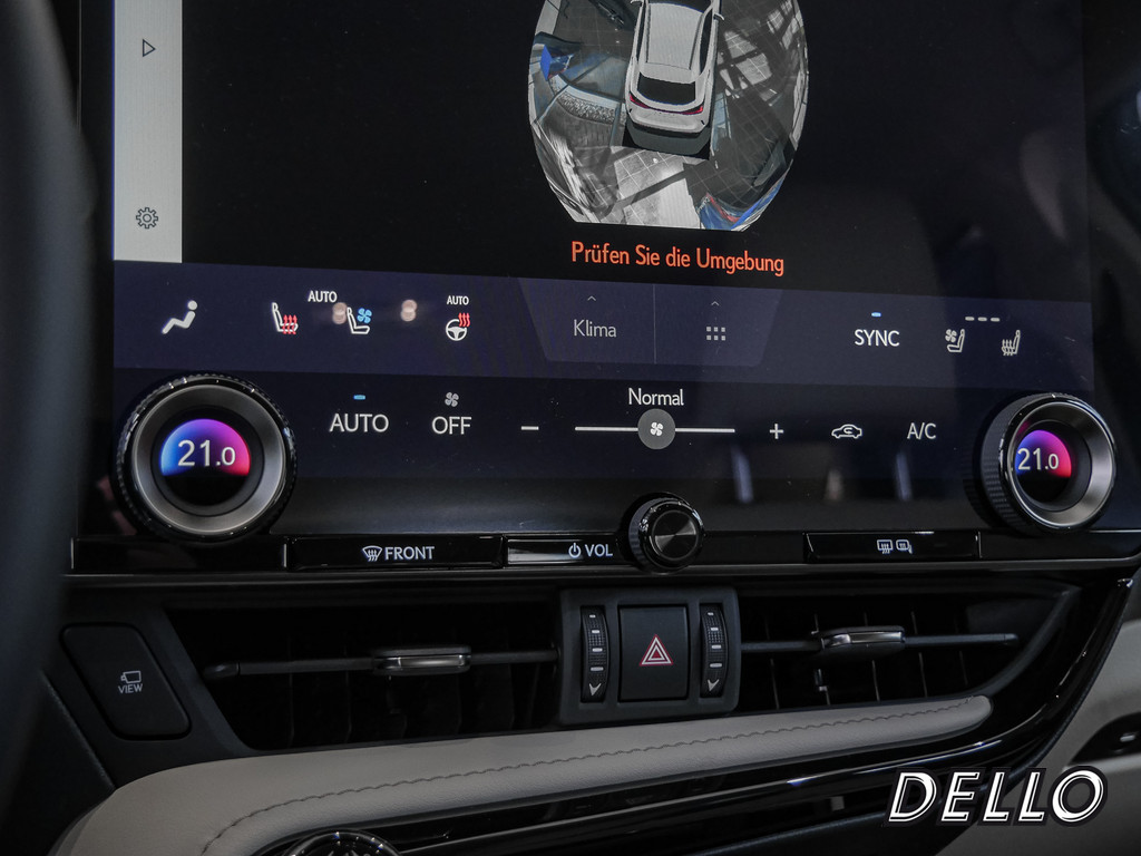 Fahrzeugansicht LEXUS NX 350h Business - Bild 18