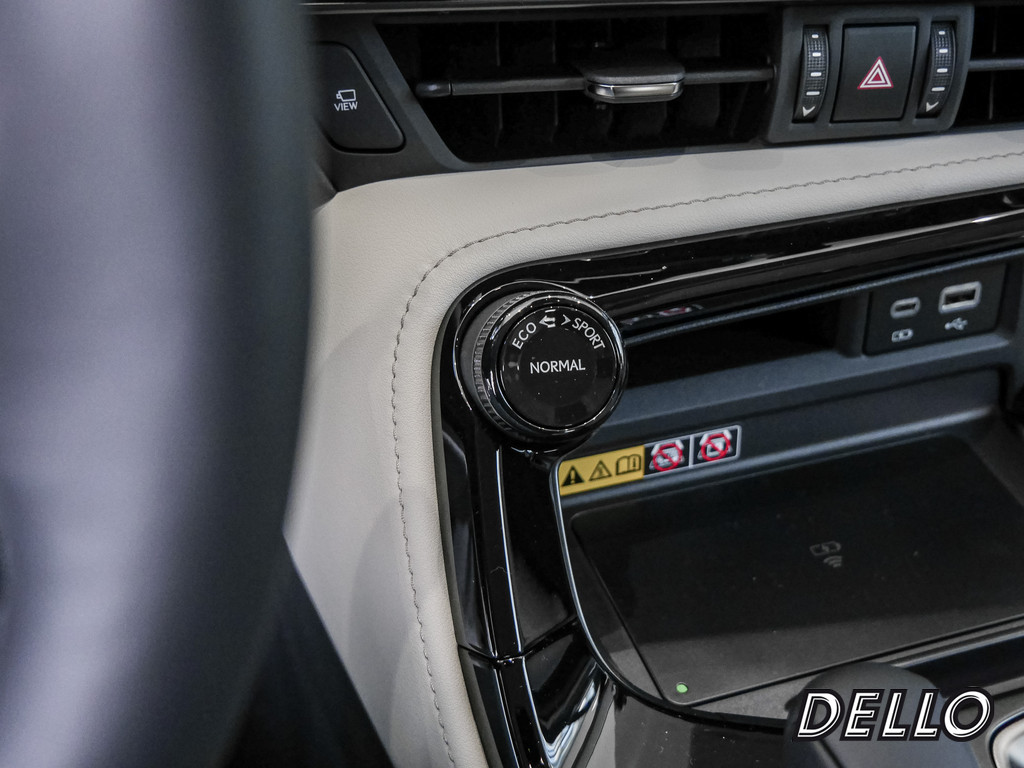 Fahrzeugansicht LEXUS NX 350h Business - Bild 19