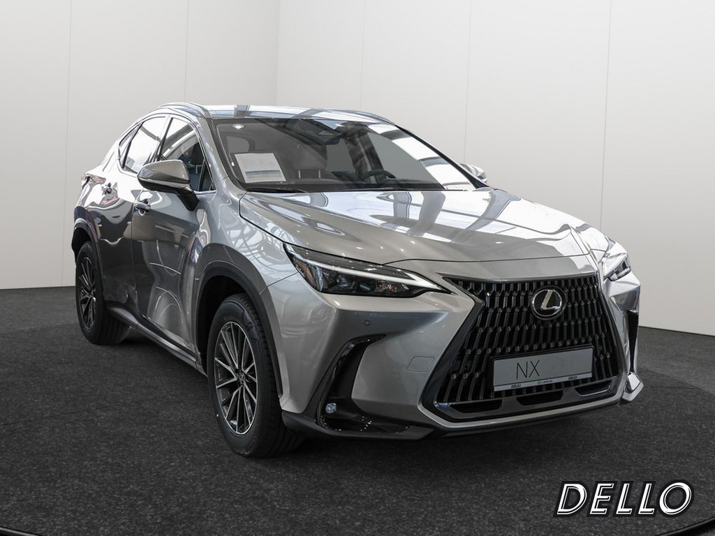 Fahrzeugansicht LEXUS NX 350h Business - Bild 23