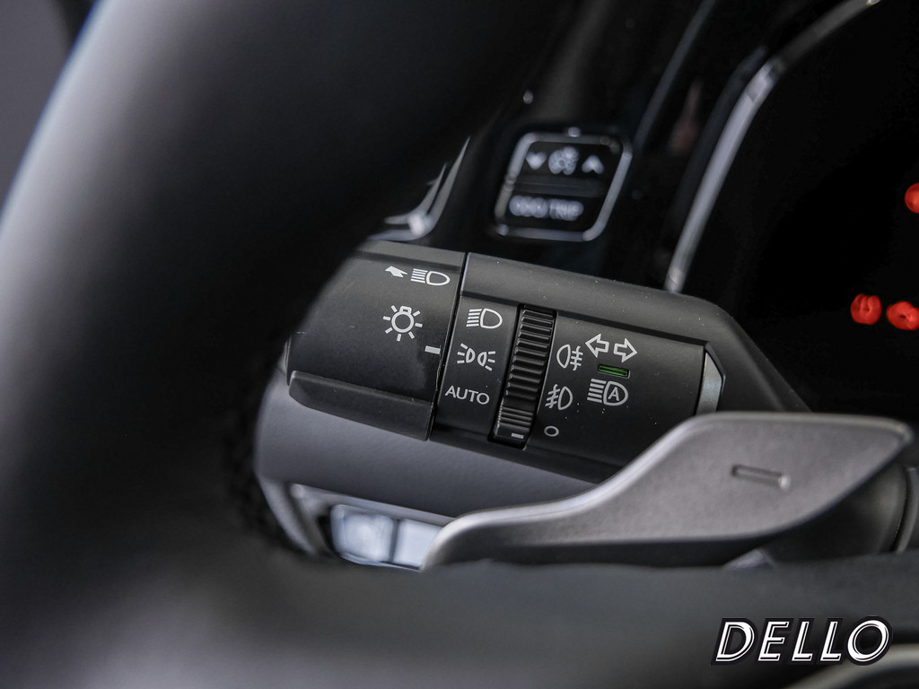 Fahrzeugansicht LEXUS NX 350h Business - Bild 26