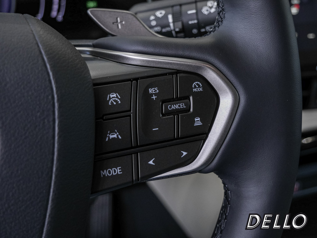 Fahrzeugansicht LEXUS NX 350h Business - Bild 29