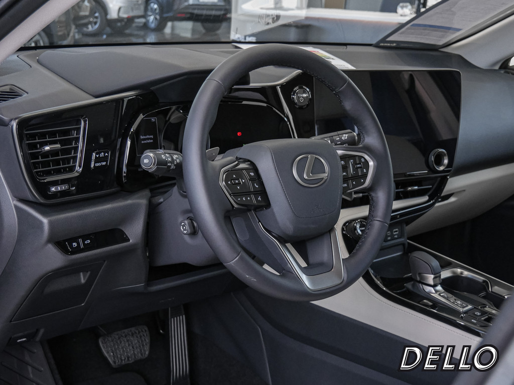 Fahrzeugansicht LEXUS NX 350h Business - Bild 33