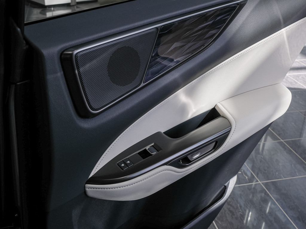 Fahrzeugansicht LEXUS NX 350h Executive - Bild 10