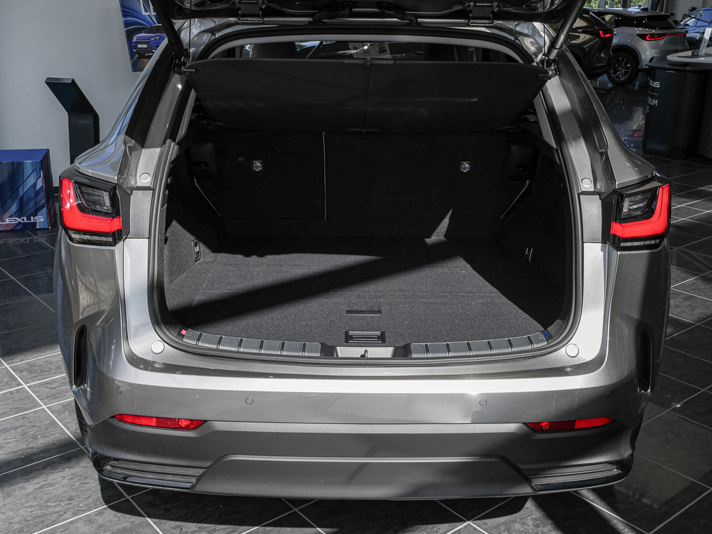 Fahrzeugansicht LEXUS NX 350h Executive - Bild 11