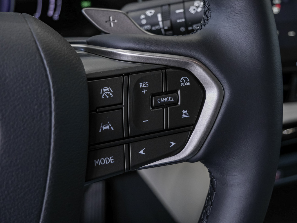 Fahrzeugansicht LEXUS NX 350h Executive - Bild 29