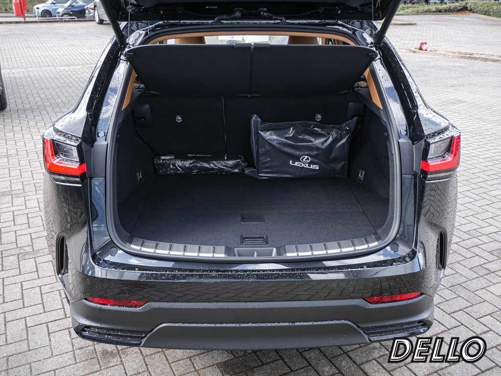 Fahrzeugansicht LEXUS NX 350h E-Four Executive - Bild 9