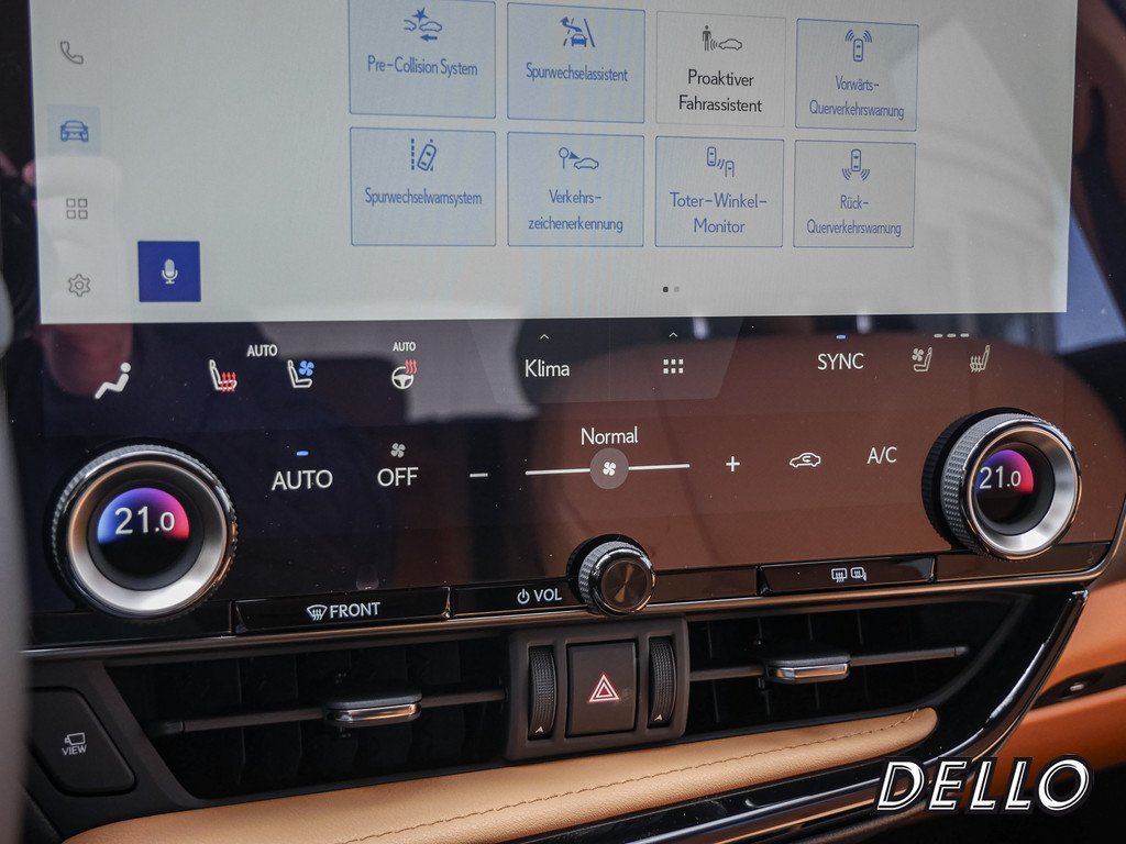 Fahrzeugansicht LEXUS NX 350h E-Four Executive - Bild 16