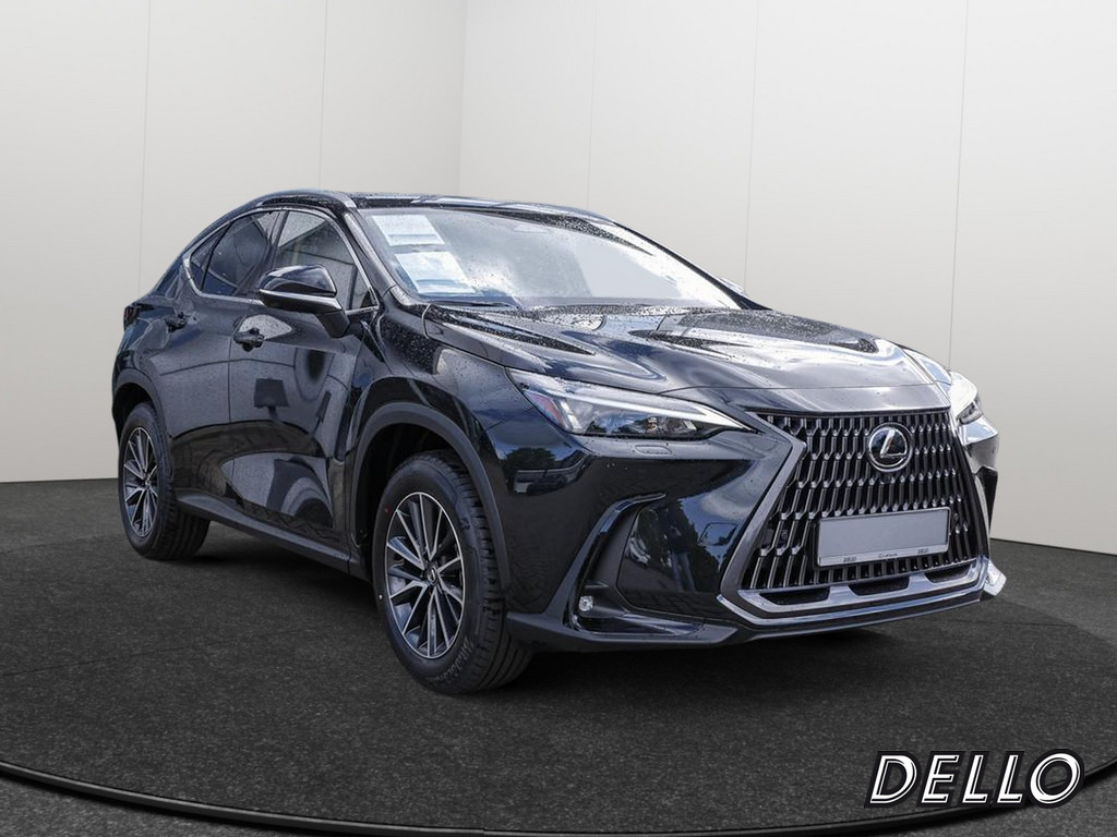 Fahrzeugansicht LEXUS NX 350h E-Four Executive - Bild 23