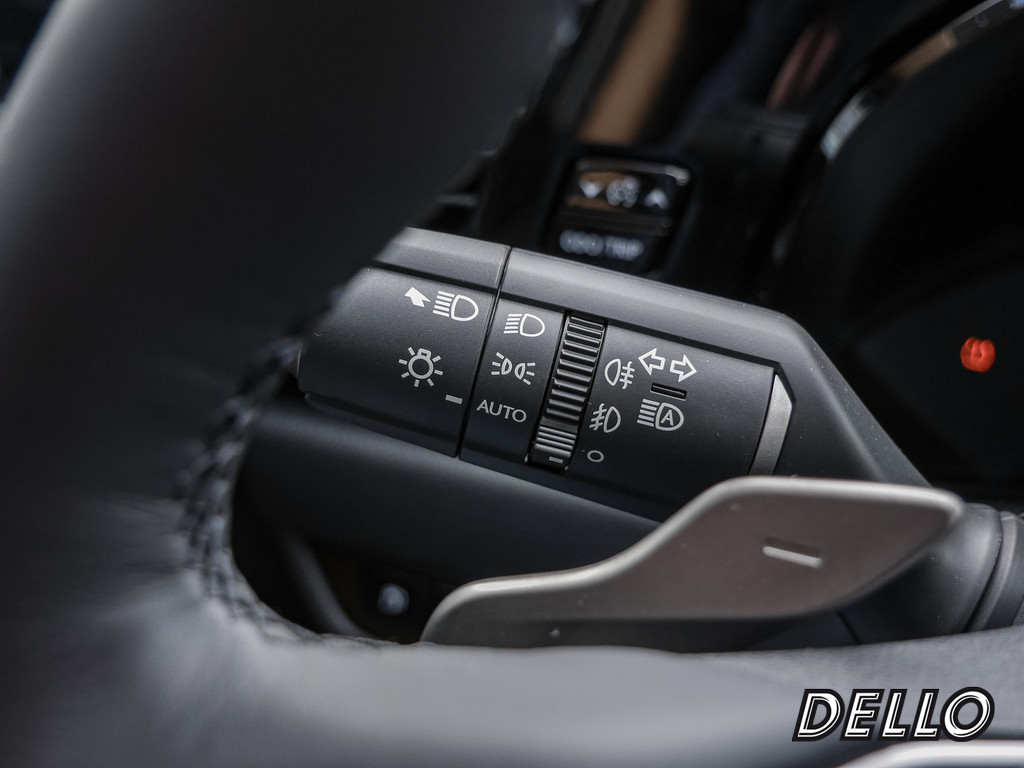 Fahrzeugansicht LEXUS NX 350h E-Four Executive - Bild 24