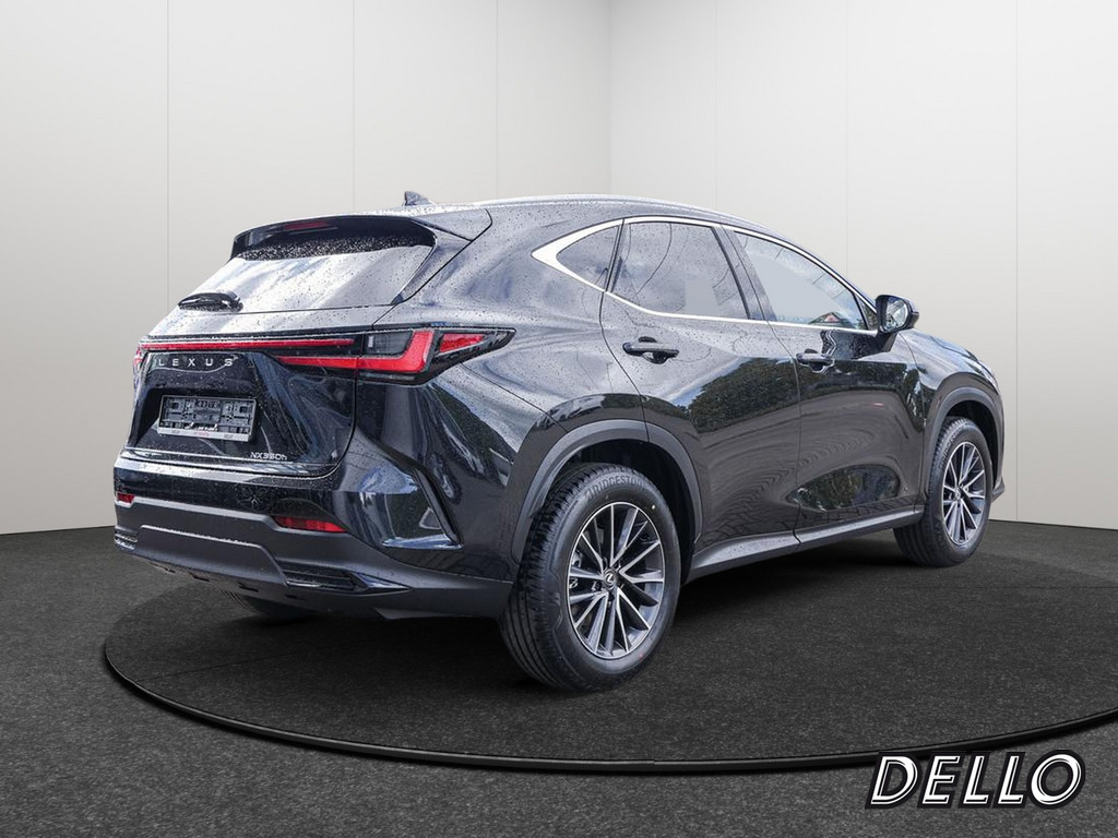 Fahrzeugansicht LEXUS NX 350h E-Four Executive - Bild 35