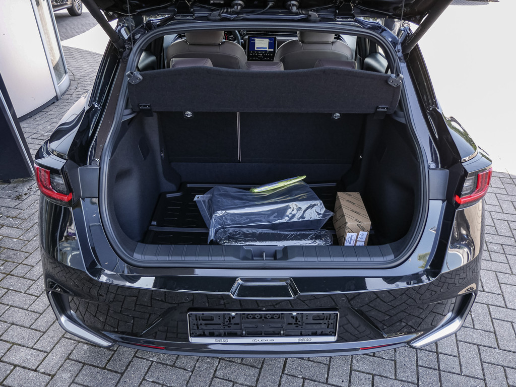 Fahrzeugansicht LEXUS LBX Elegant - Bild 6