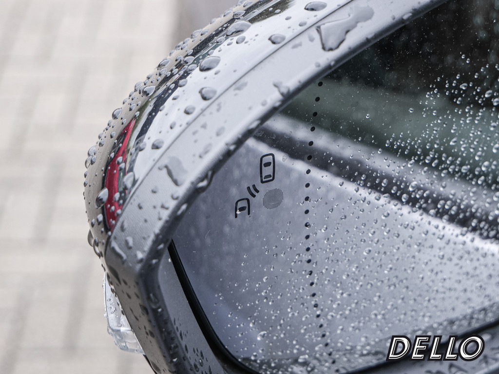Fahrzeugansicht RENAULT Austral Iconic Esprit Alpine E-TECH - Bild 4