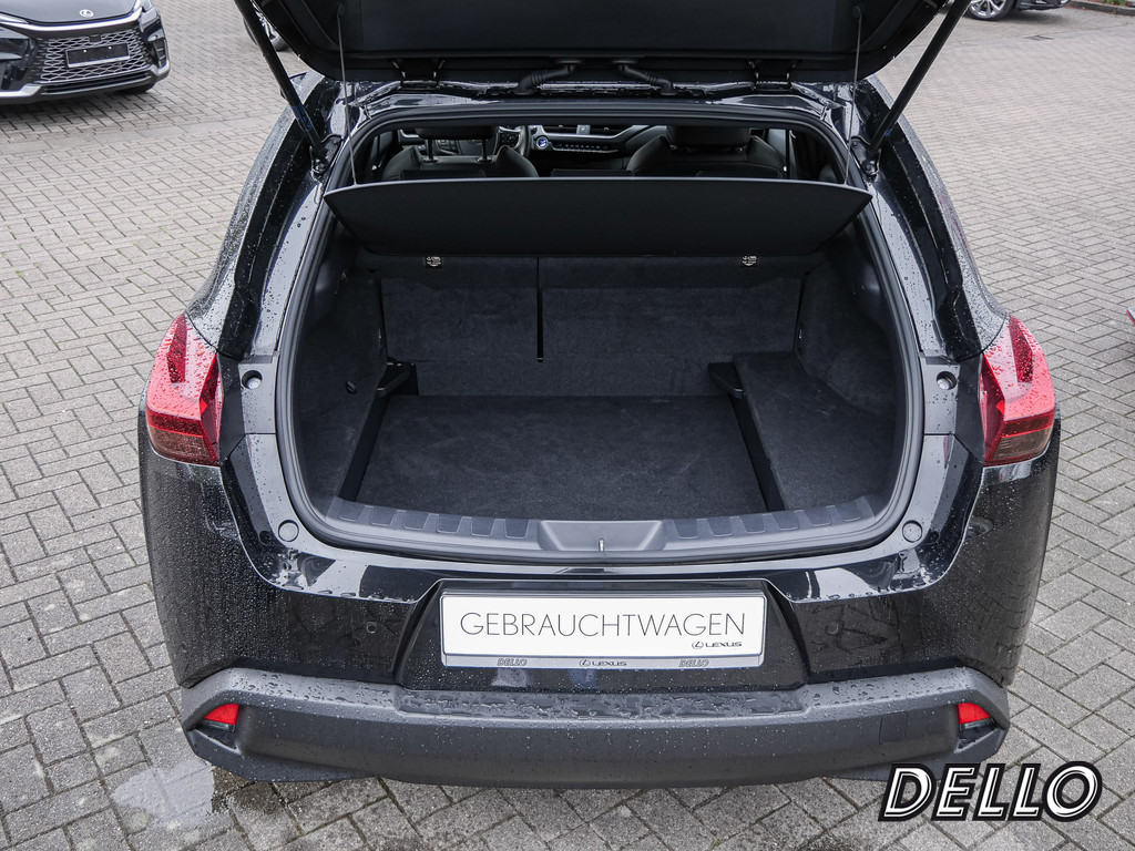 Fahrzeugansicht LEXUS UX 250h Style+ Ed. - Bild 8