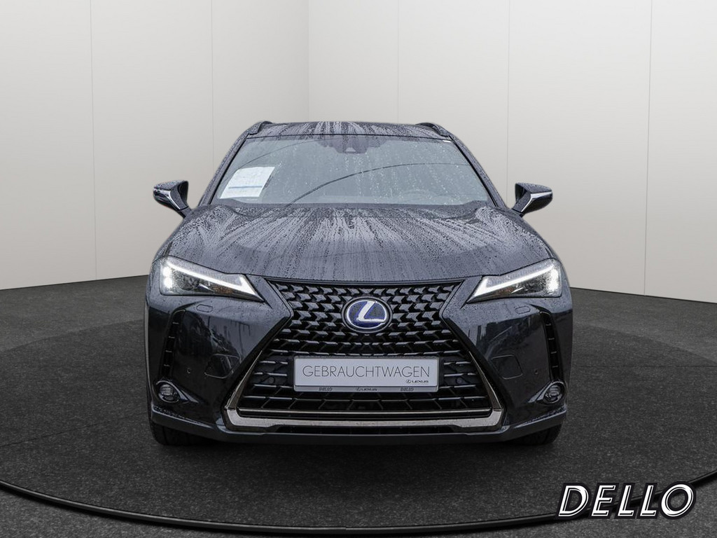 Fahrzeugansicht LEXUS UX 250h Style+ Ed. - Bild 12