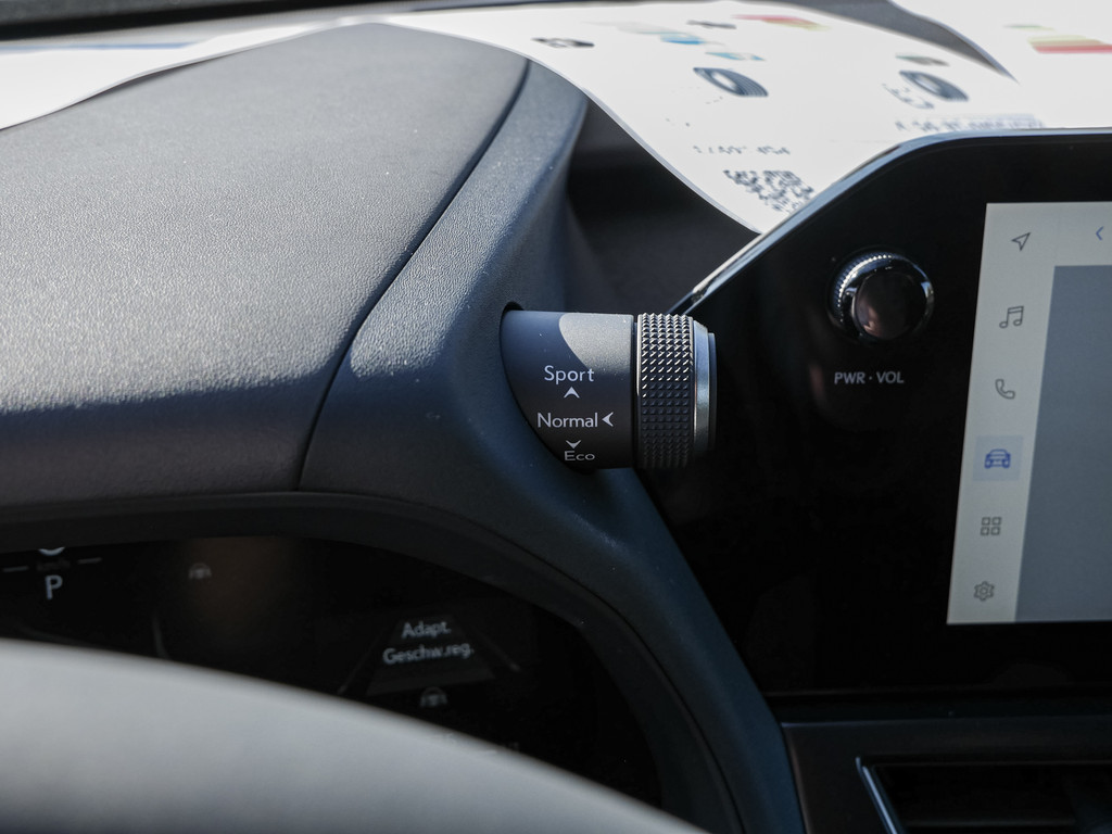 Fahrzeugansicht LEXUS UX 300h F-Sport Design - Bild 25