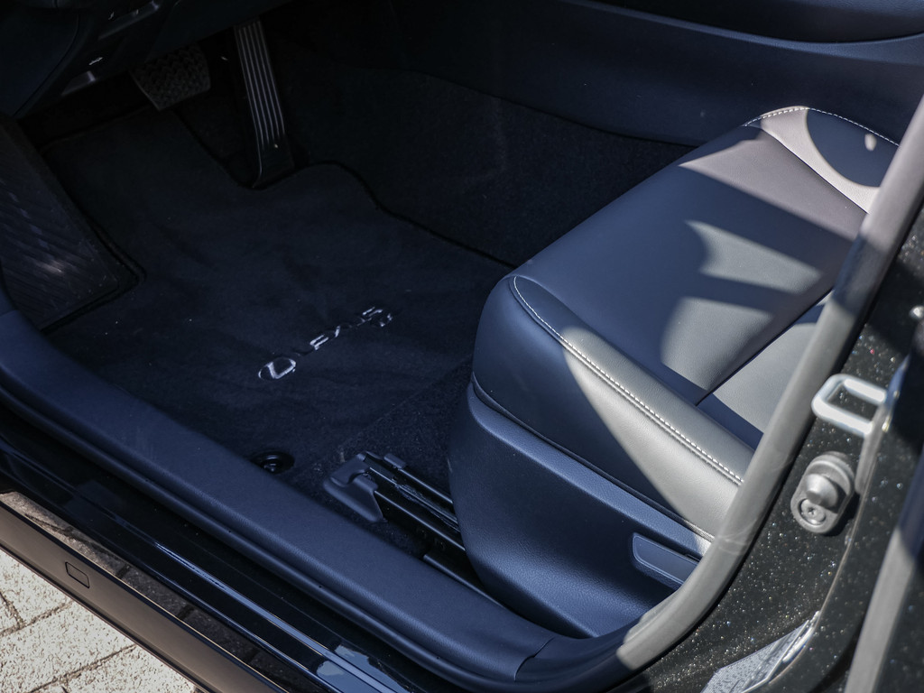 Fahrzeugansicht LEXUS UX 300h F-Sport Design - Bild 32