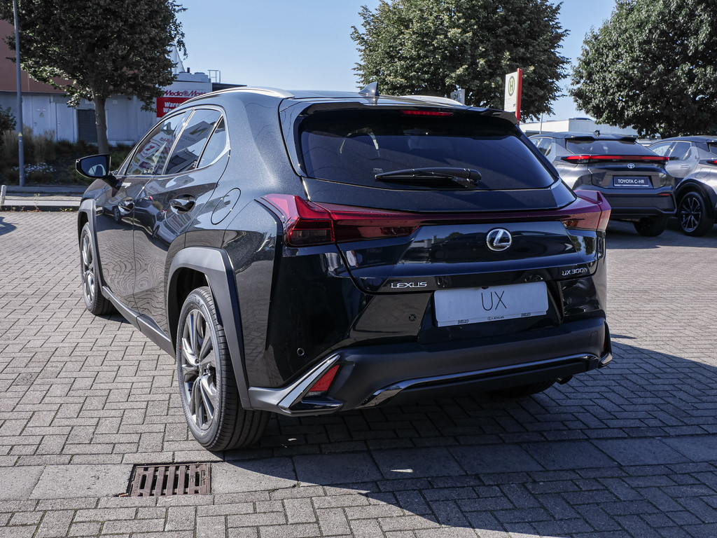 Fahrzeugansicht LEXUS UX 300h F-Sport Design - Bild 37