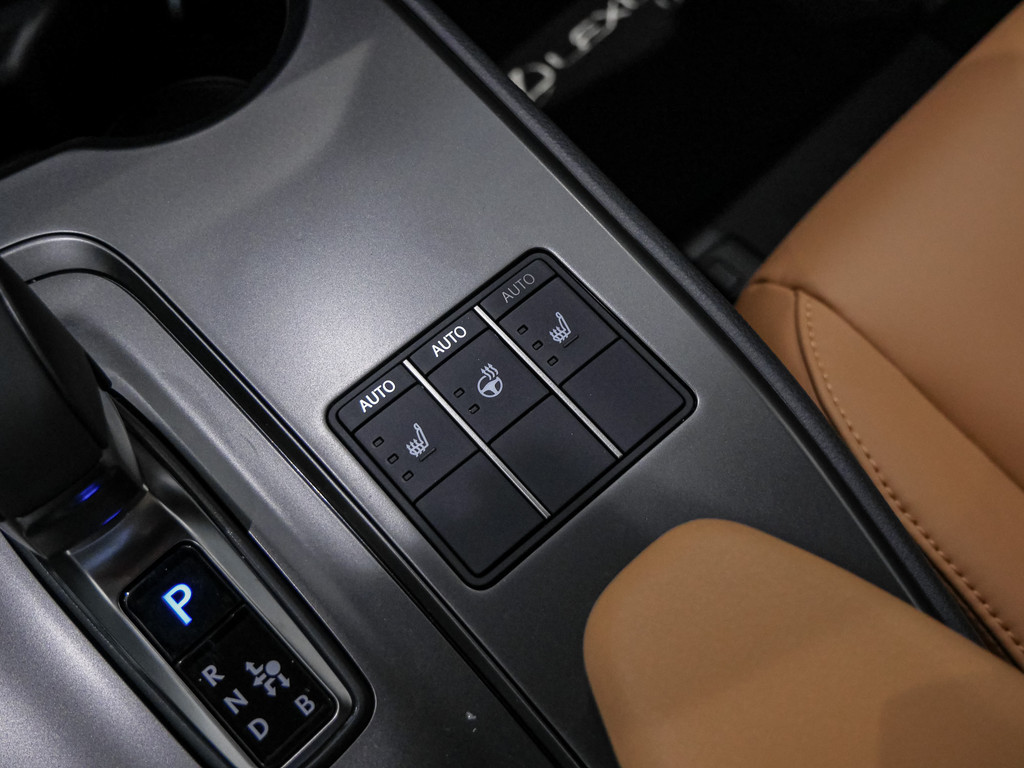 Fahrzeugansicht LEXUS UX 300h F-Sport Design - Bild 15