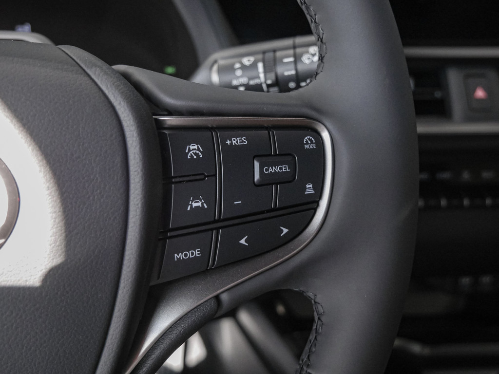 Fahrzeugansicht LEXUS UX 300h F-Sport Design - Bild 24