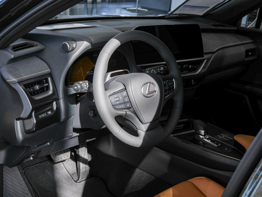 Fahrzeugansicht LEXUS UX 300h F-Sport Design - Bild 28