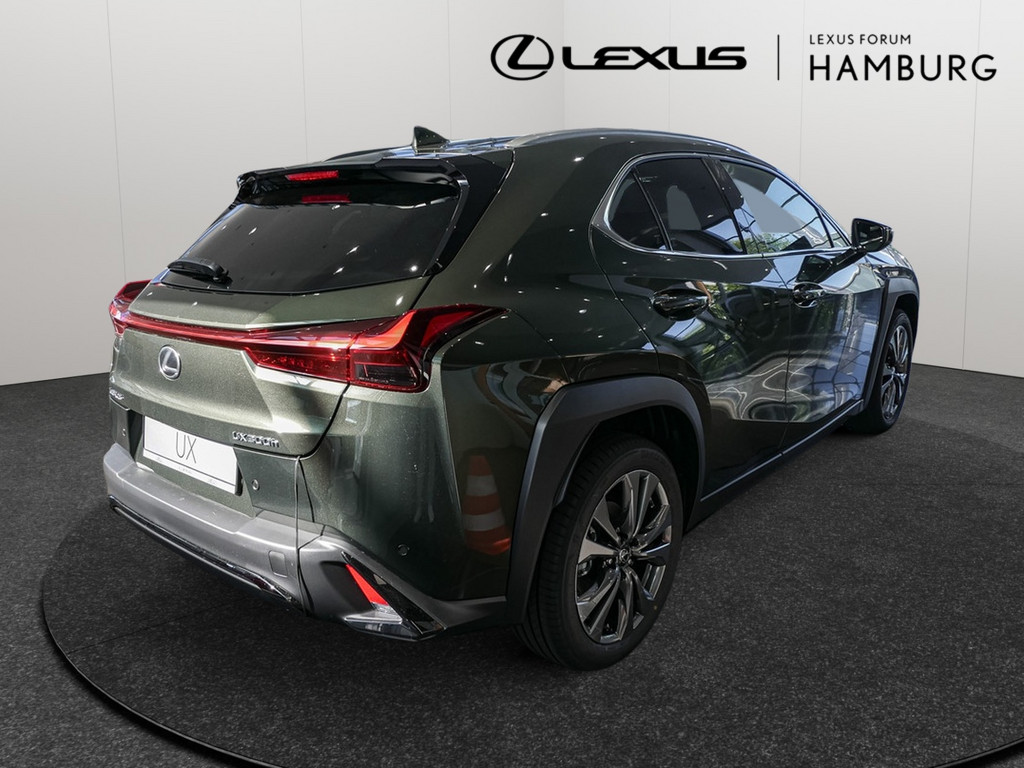 Fahrzeugansicht LEXUS UX 300h F-Sport Design - Bild 31