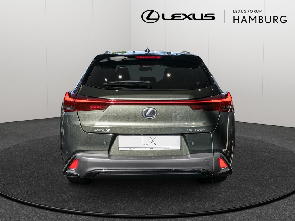 Fahrzeugansicht LEXUS UX 300h F-Sport Design - Bild 32