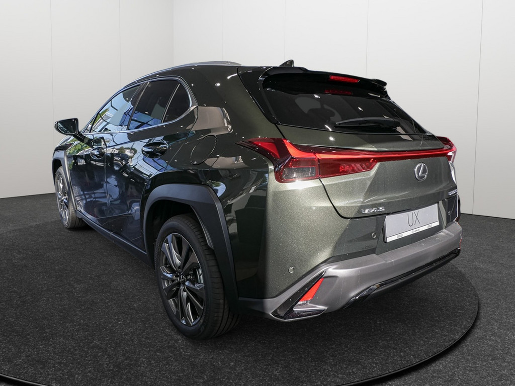 Fahrzeugansicht LEXUS UX 300h F-Sport Design - Bild 33