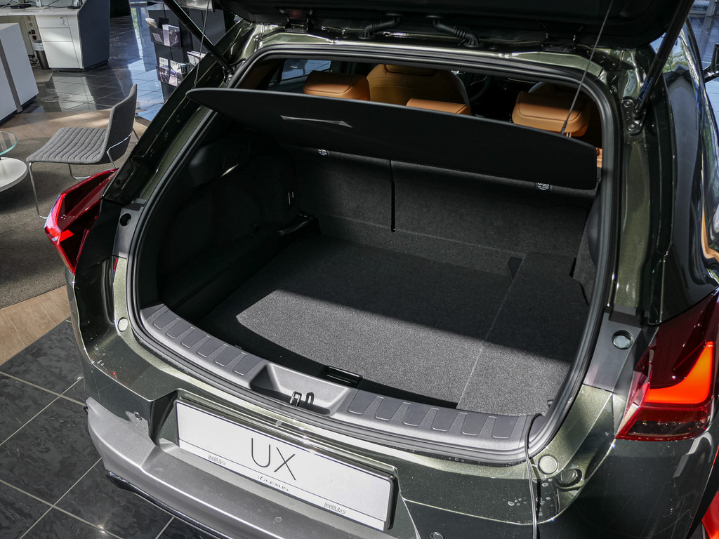 Fahrzeugansicht LEXUS UX 300h F-Sport Design - Bild 5