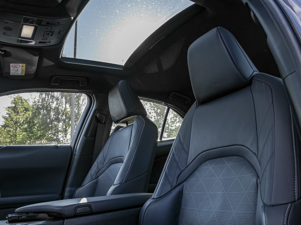Fahrzeugansicht LEXUS UX 250h Luxury Line FWD - Bild 3