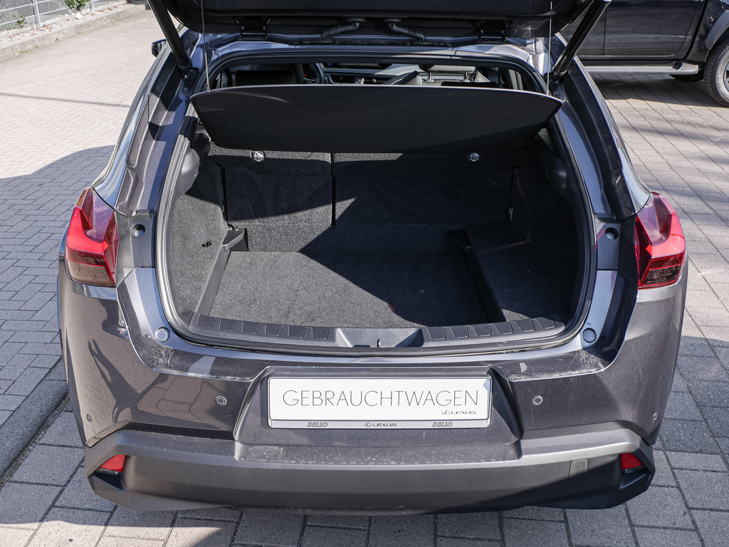 Fahrzeugansicht LEXUS UX 250h Luxury Line FWD - Bild 9