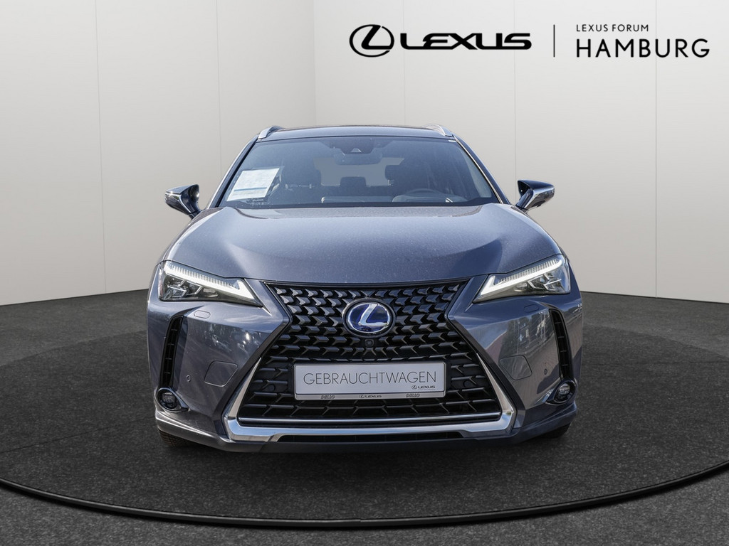 Fahrzeugansicht LEXUS UX 250h Luxury Line FWD - Bild 12