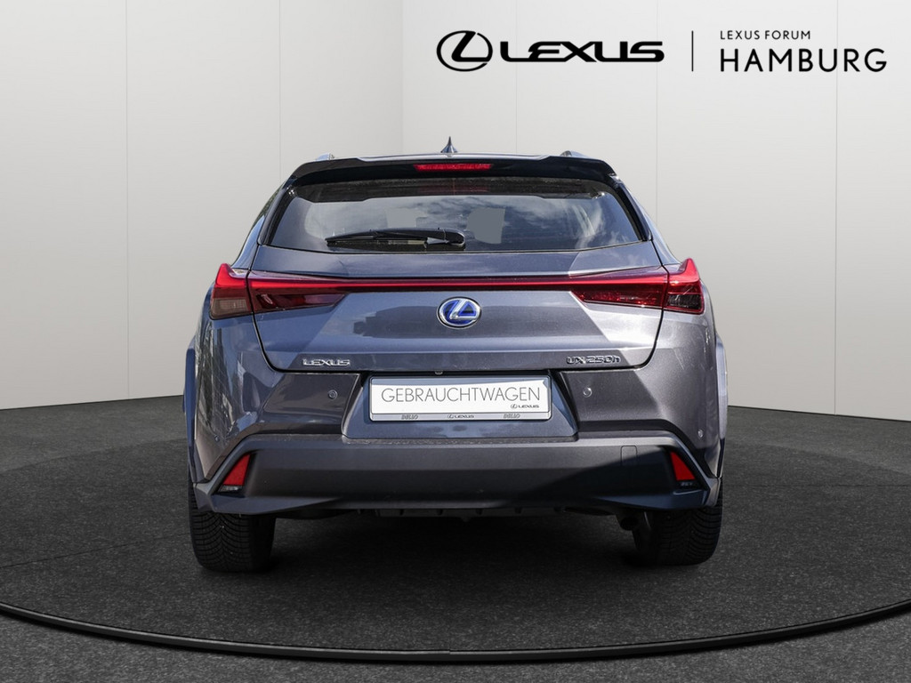 Fahrzeugansicht LEXUS UX 250h Luxury Line FWD - Bild 36