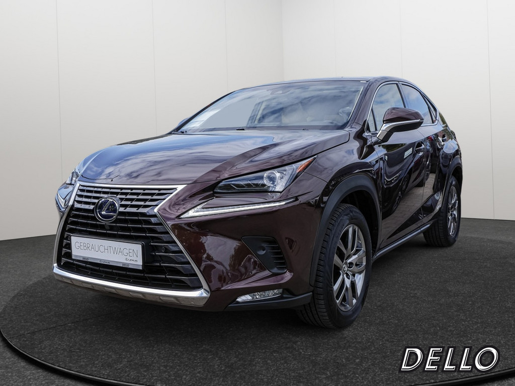LEXUS NX 300h E-Four Amazing
