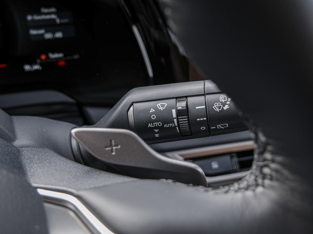 Fahrzeugansicht LEXUS RX 450h + F Sport Design - Bild 24