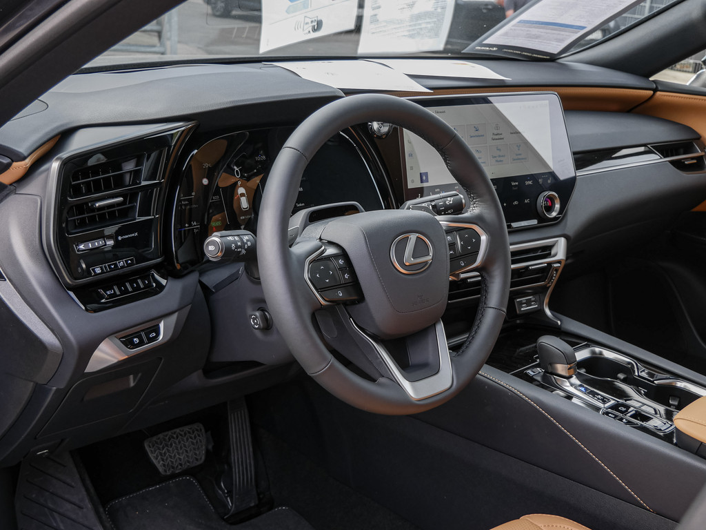 Fahrzeugansicht LEXUS RX 450h + F Sport Design - Bild 29