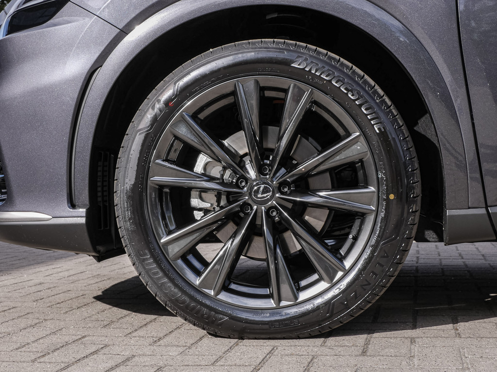 Fahrzeugansicht LEXUS RX 450h + F Sport Design - Bild 38
