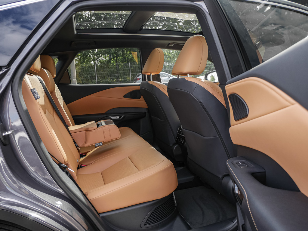 Fahrzeugansicht LEXUS RX 450h + F Sport Design - Bild 6
