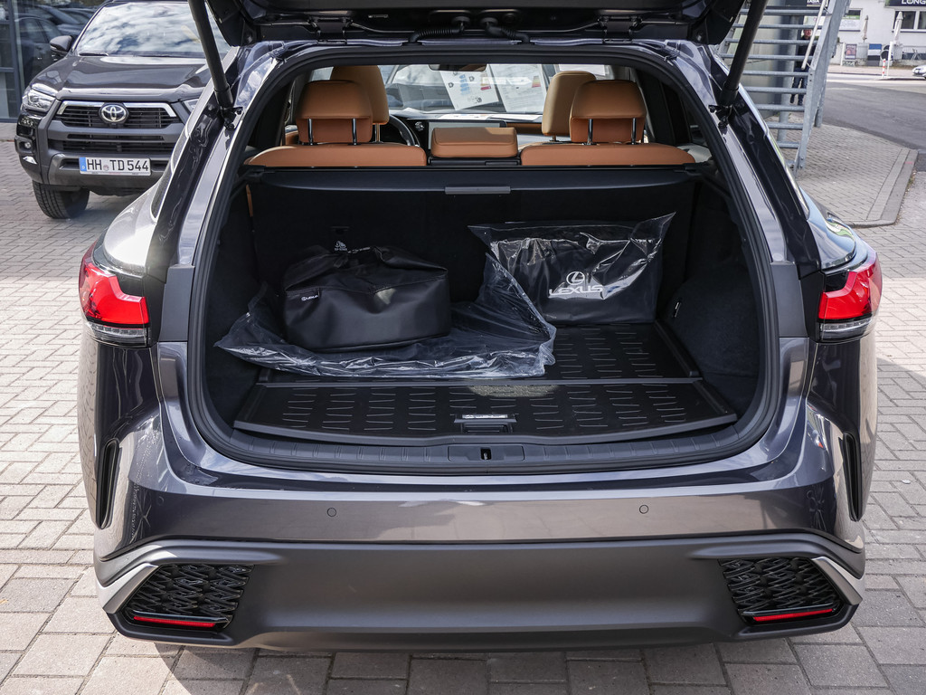 Fahrzeugansicht LEXUS RX 450h + F Sport Design - Bild 10