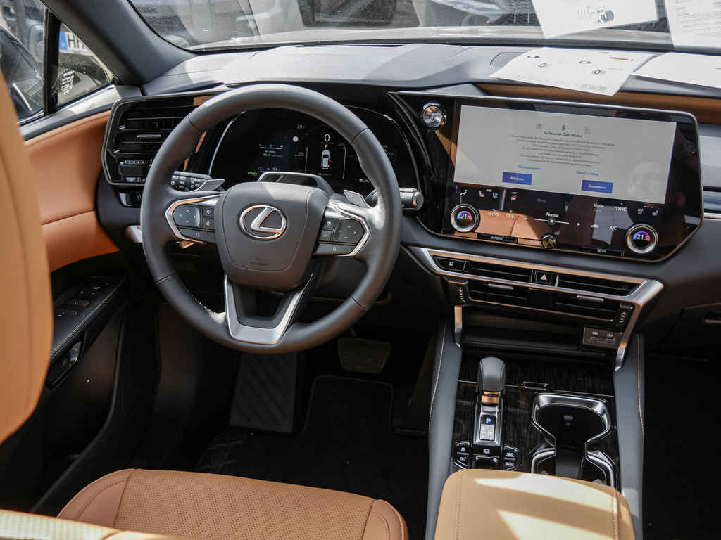 Fahrzeugansicht LEXUS RX 450h + F Sport Design - Bild 8