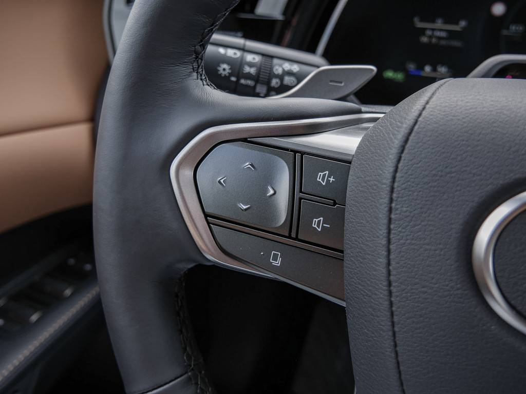 Fahrzeugansicht LEXUS RX 450h + F Sport Design - Bild 26