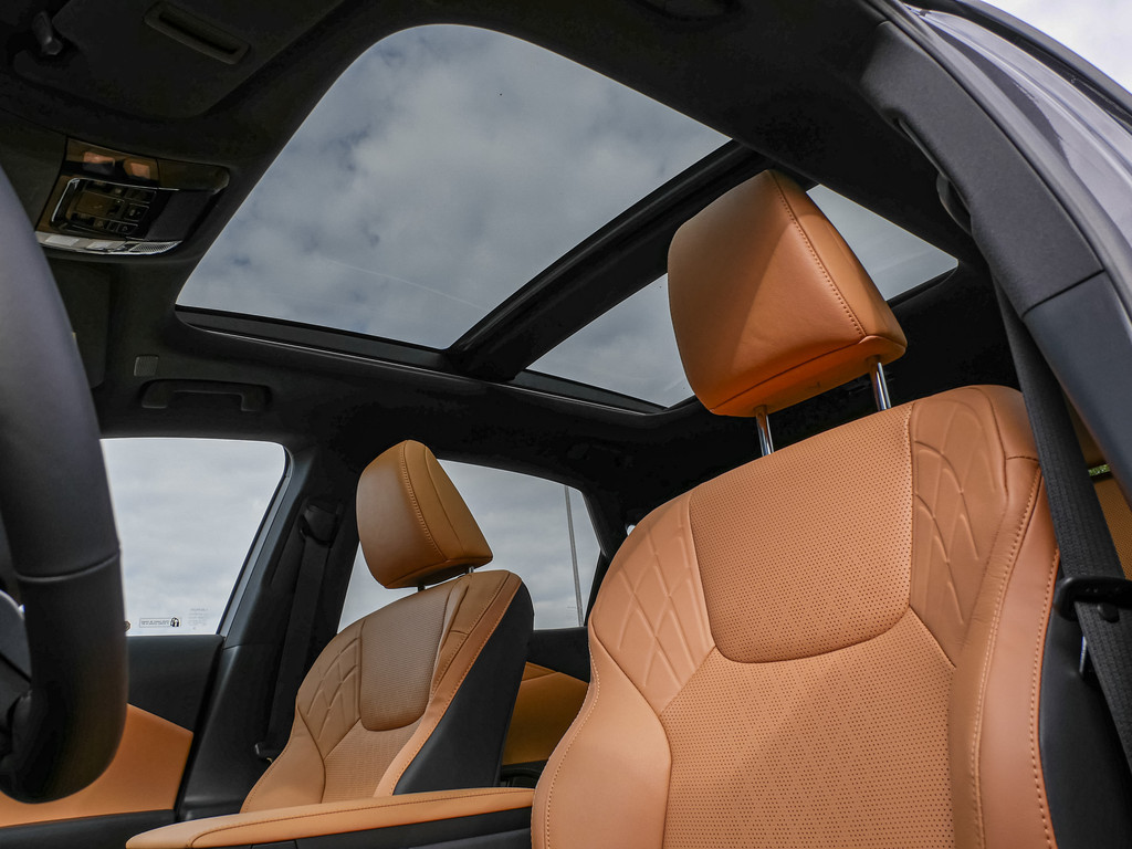 Fahrzeugansicht LEXUS RX 450h + F Sport Design - Bild 30