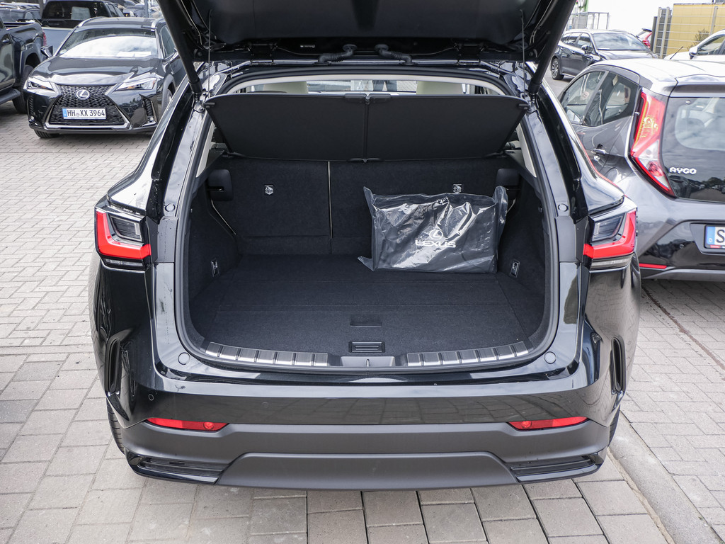 Fahrzeugansicht LEXUS NX 350h Luxury AWD - Bild 6